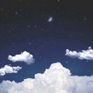 国产精品无码婷婷久久
