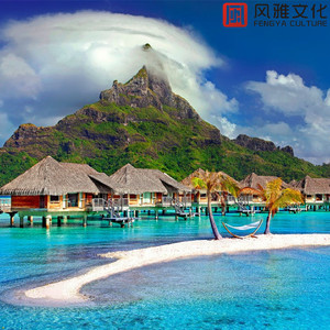 国产精品无码婷婷久久
